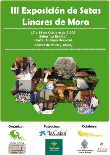 El Hostal Antiguo Hospital acoge la III Exposición de setas