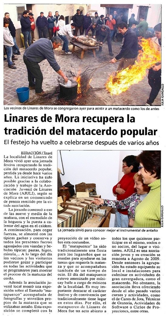 Artículo publicado en Diario de Teruel (22/01/2012)